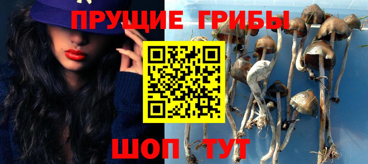 купить наркоту  Галлюциногенные грибы Magic Shrooms  Вход с VPN  Великие Луки 